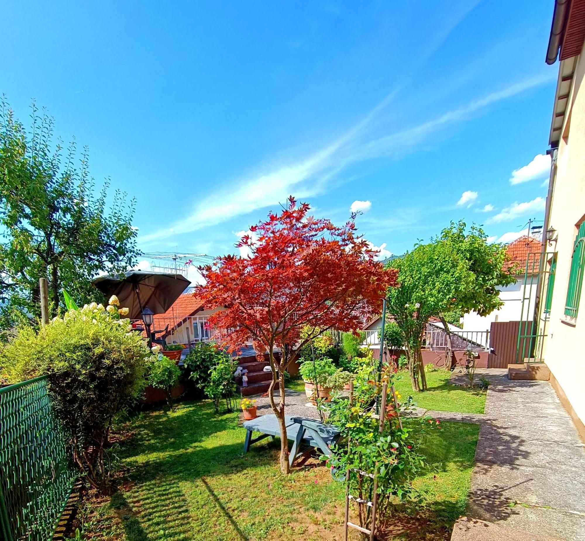 Garden Free Parking Apartment *