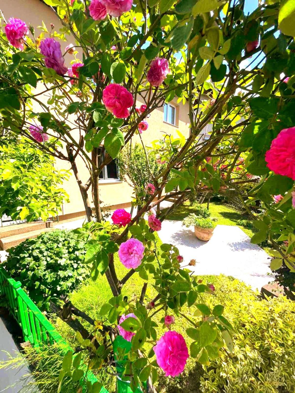 Garden Free Parking Apartment *